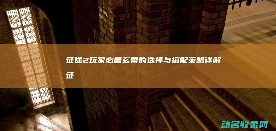 征途2玩家必备！玄兽的选择与搭配策略详解 (征途2最牛的玩家)