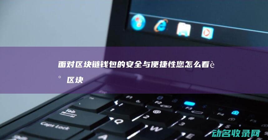 面对区块链钱包的安全与便捷性 您怎么看 (谈区块链)