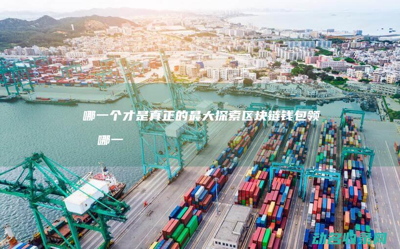 哪一个才是真正的最大 探索区块链钱包领域 (哪一个才是真正的我)