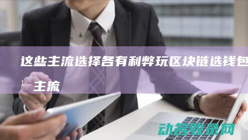 这些主流选择各有利弊玩选钱包什么主流
